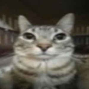 Meet your Posher, Raina